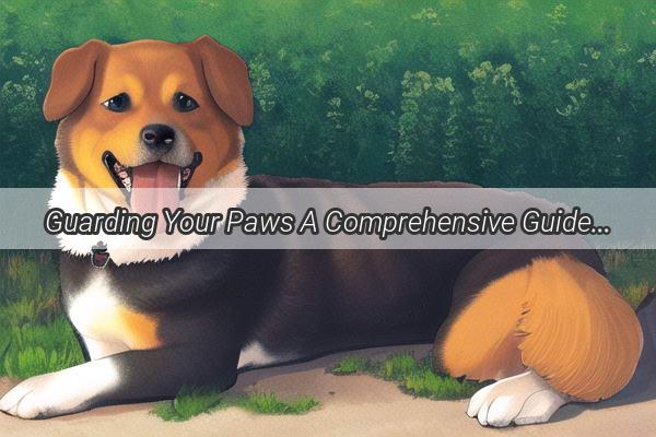 Guarding Your Paws A Comprehensive Guide to Protecting Your Dog from Picking Up Unhealthy Edibles